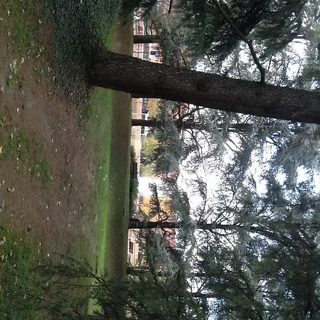 Apartament Il Lago Segrate